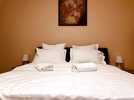 Double Room with Shared Bathroom