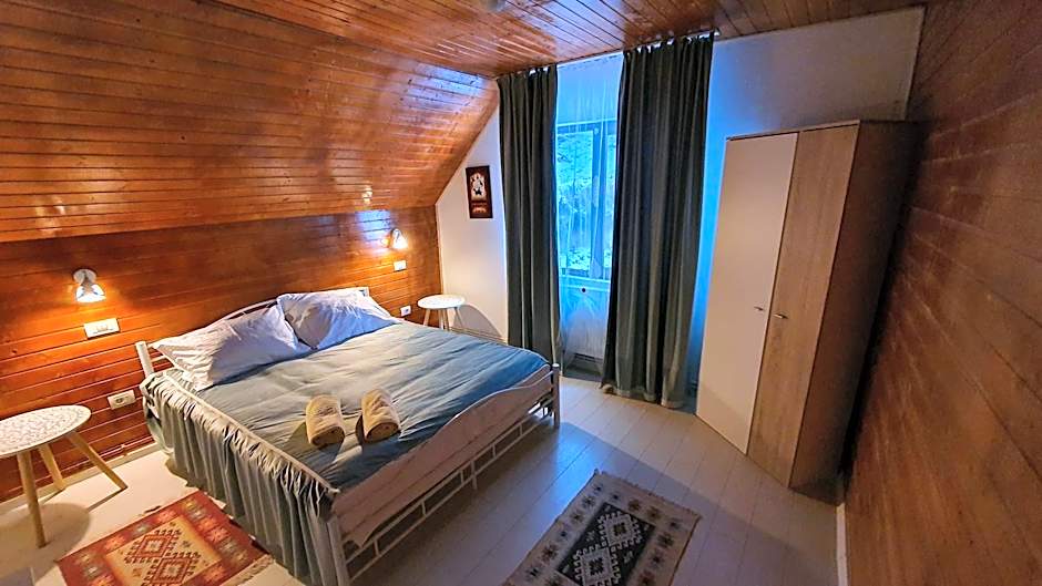 Cabana "Trei Brazi " Retezat