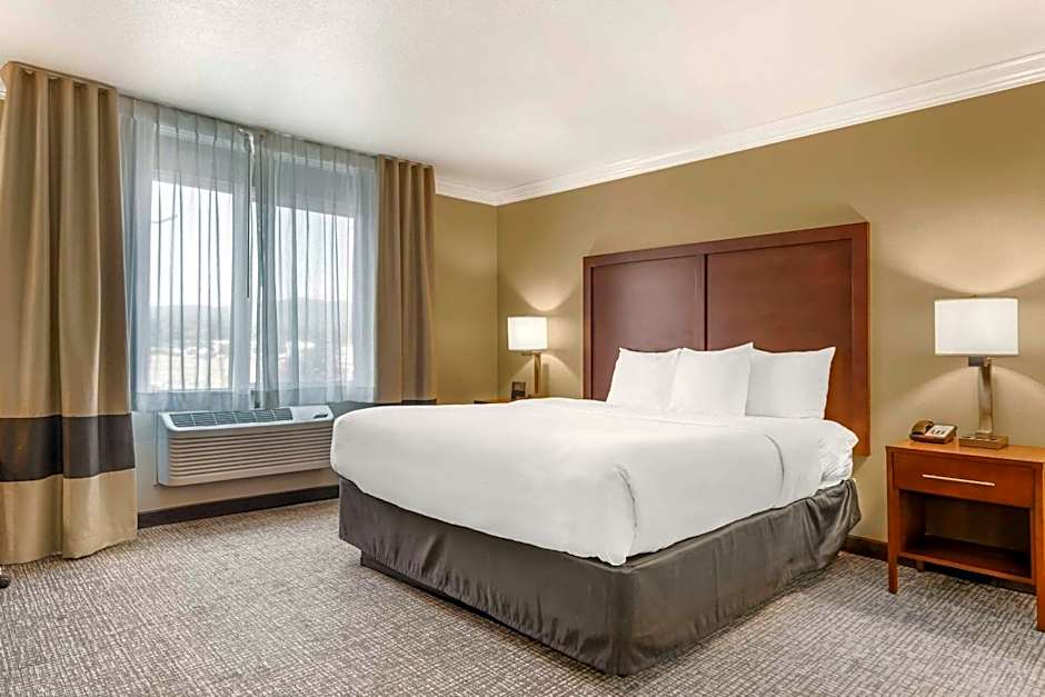 Comfort Inn & Suites Redwood Country