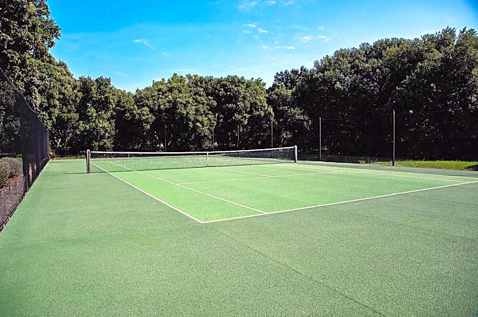 Les Champs de Provence