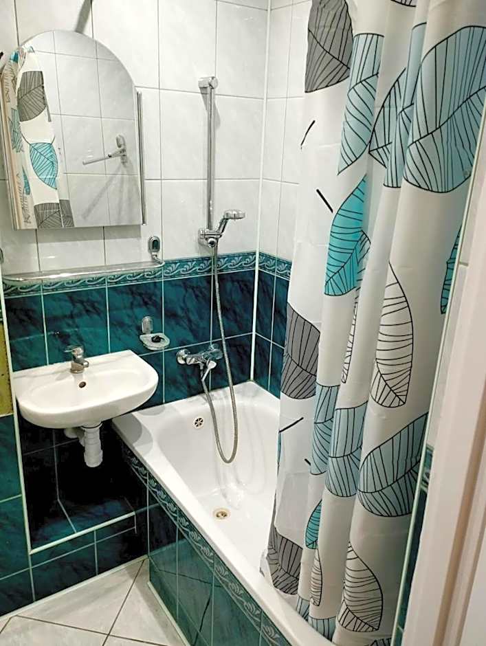 APARTAMENT CENTRUM Międzychód