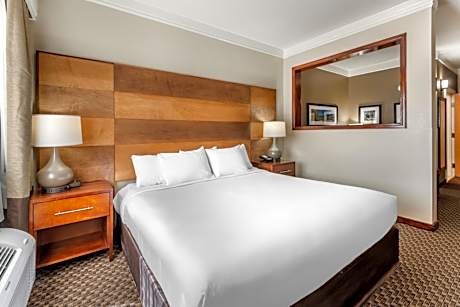 1 King Bed, Suite, Nonsmoking, Accessible
