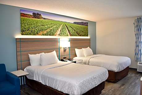 Double Room with Two Double Beds - Non-Smoking