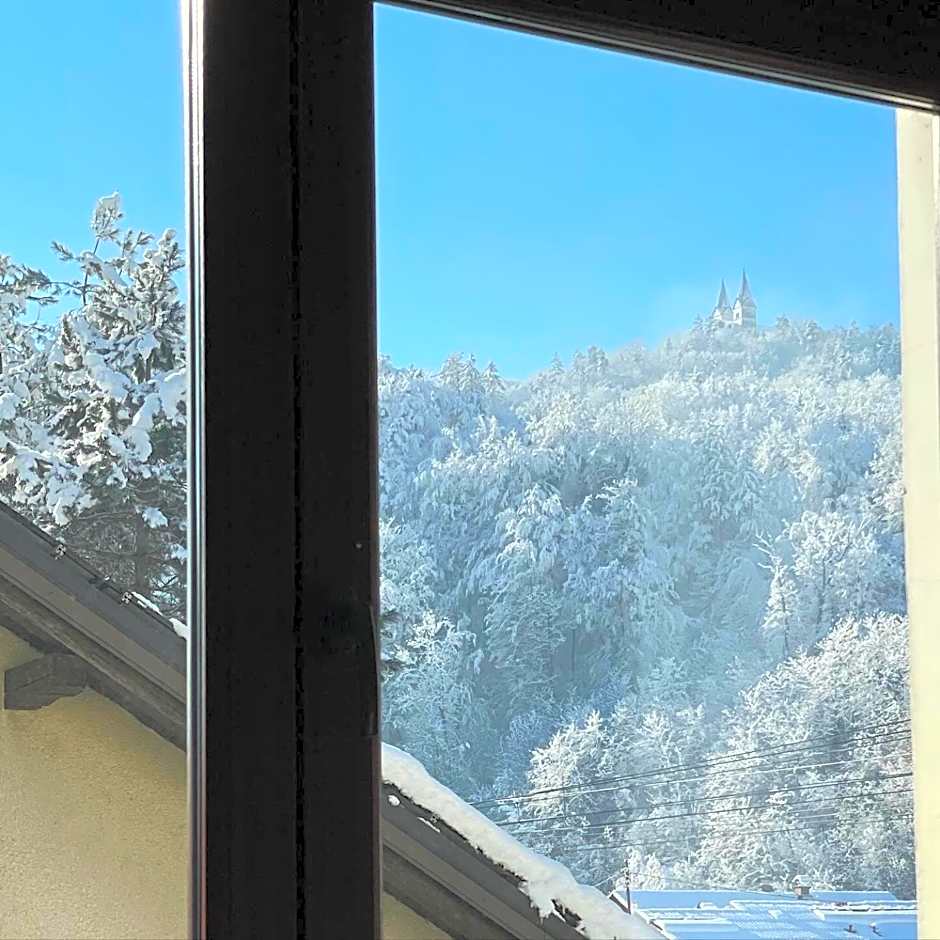 All Seasons Apartments Laško