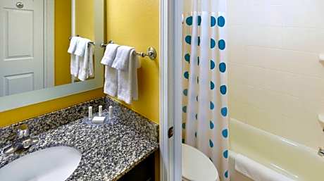 Suite, 1 Bedroom (1 King Bed and 1 Double Sofa Bed)
