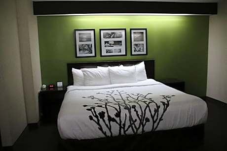 Queen Room - Accessible/Non-Smoking