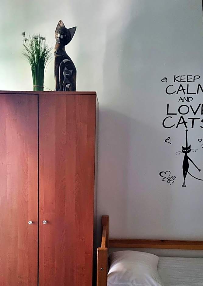 Green Cat Rooms