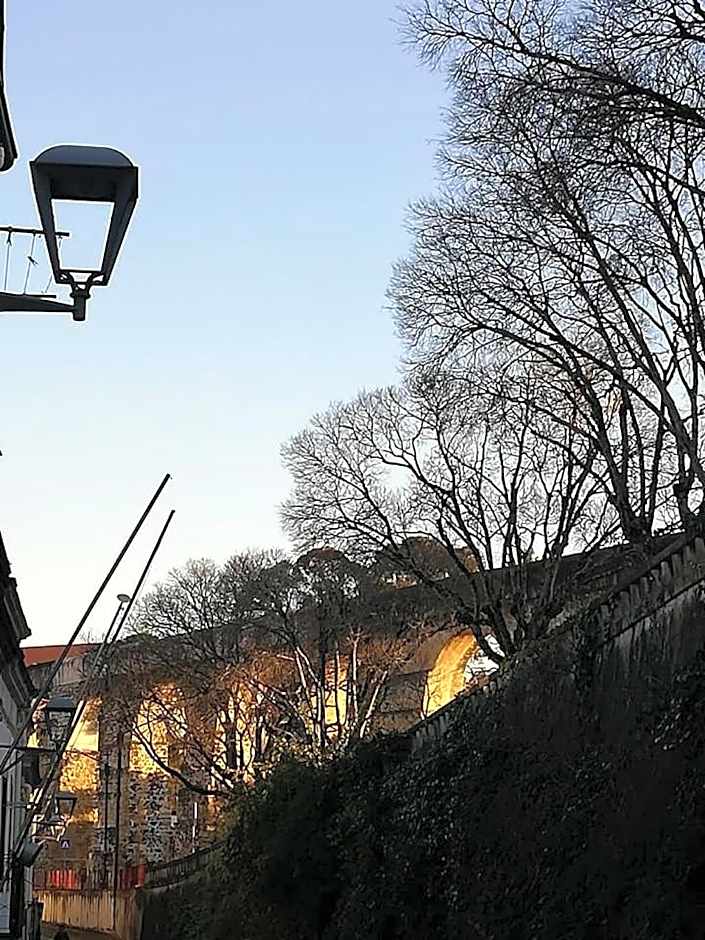 Coimbra Monumentais B&B