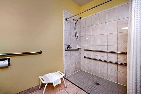 1 King Bed Accessible Suite NS