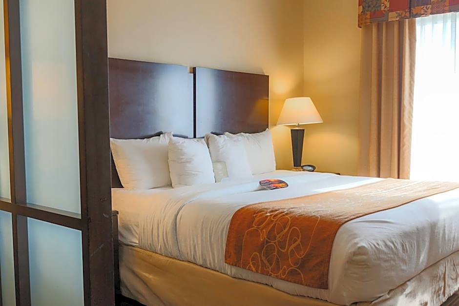 Comfort Suites Charleston West Ashley