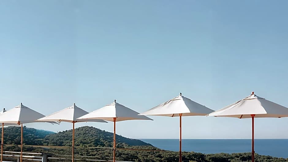 Hotel Indigo Gandia Beach By IHG