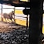 Cabañas el Pajar