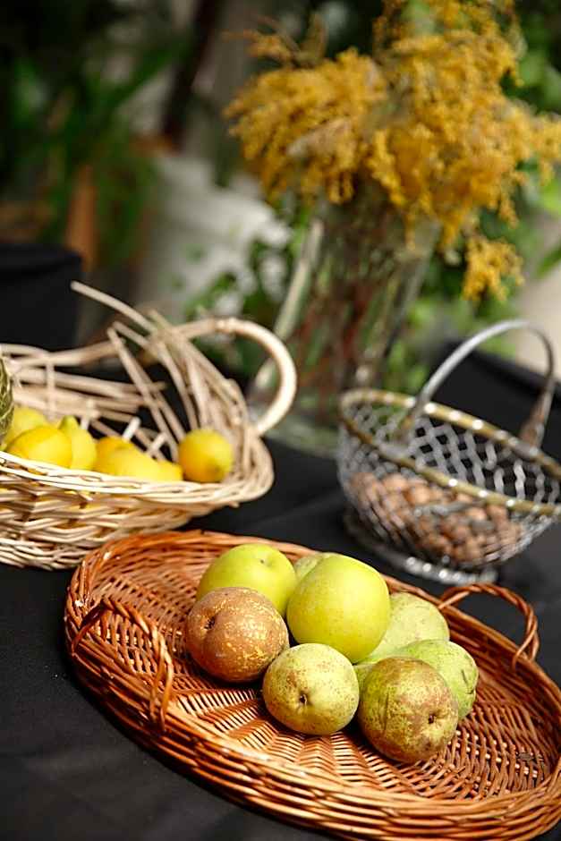 Señorío de Los Bazán