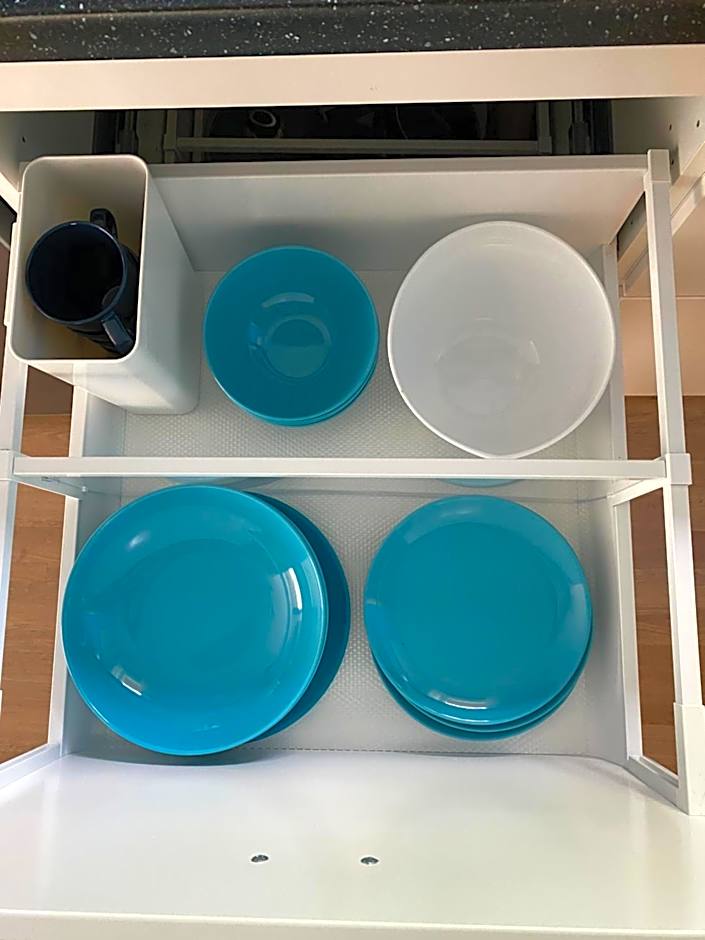 Green Gile Villa in Druskininkai Center