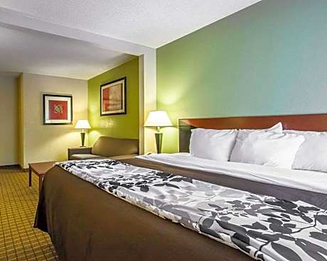 1 King Bed, Suite, Nonsmoking