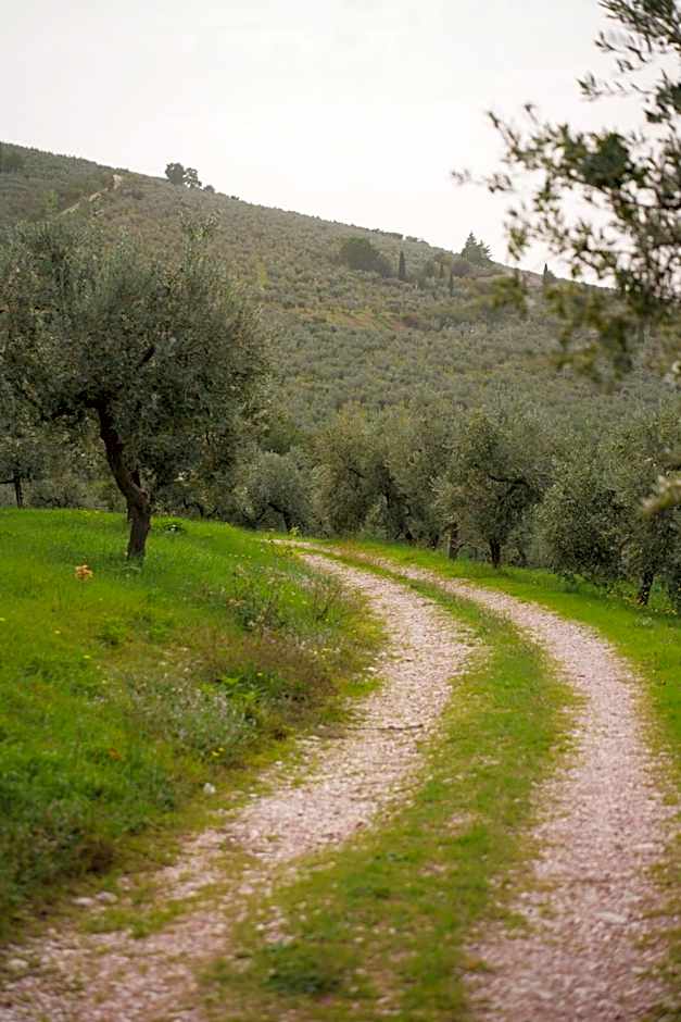La Quercetta
