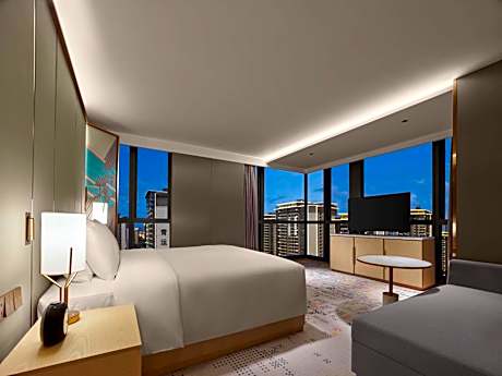 Deluxe King Suite