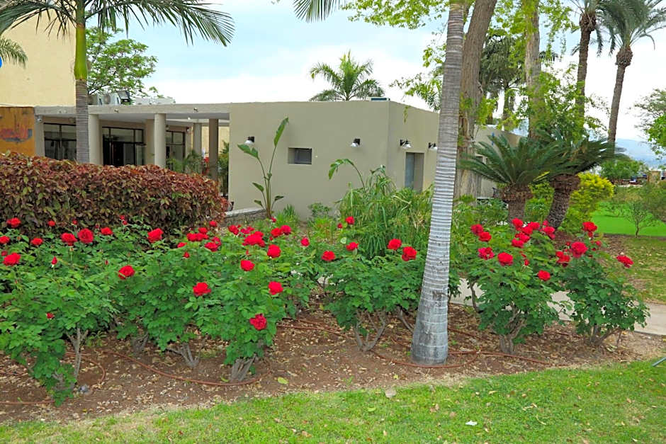 Jacob Ohalo Kinneret