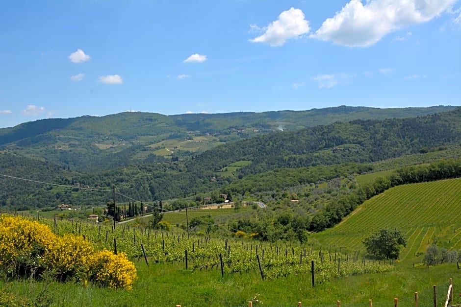 Rosso Del Chianti