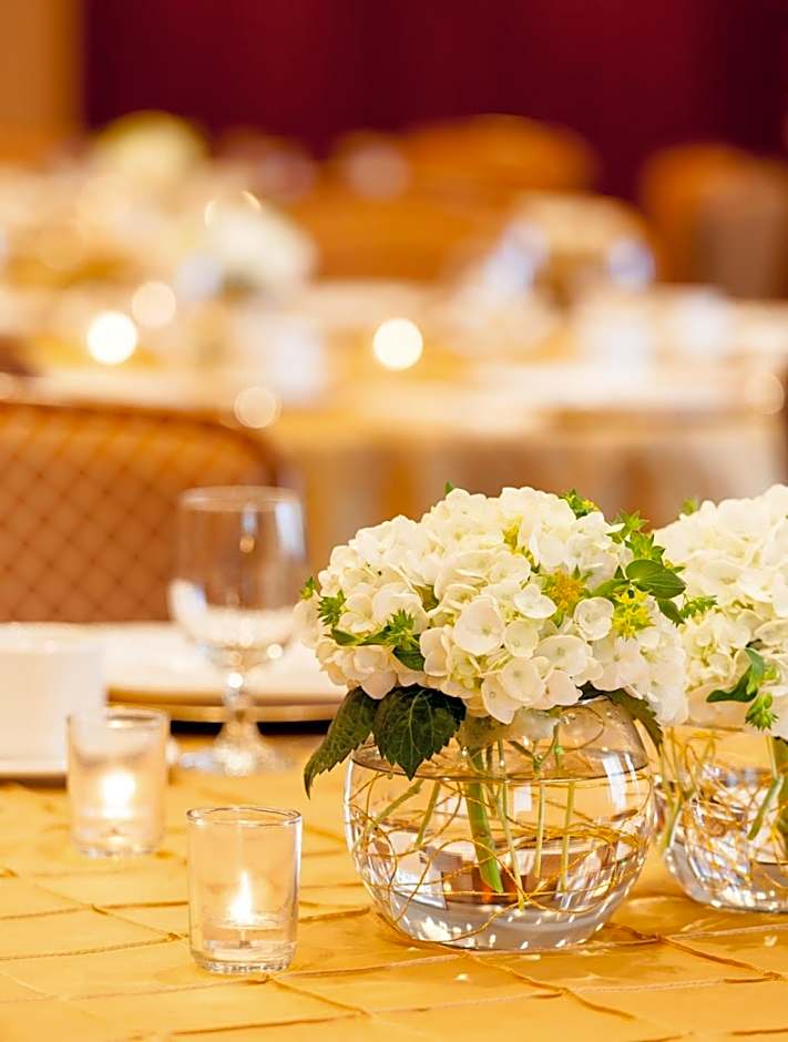 Ann Arbor Regent Hotel and Suites