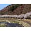 Hotel Omiya - Vacation STAY 81533v