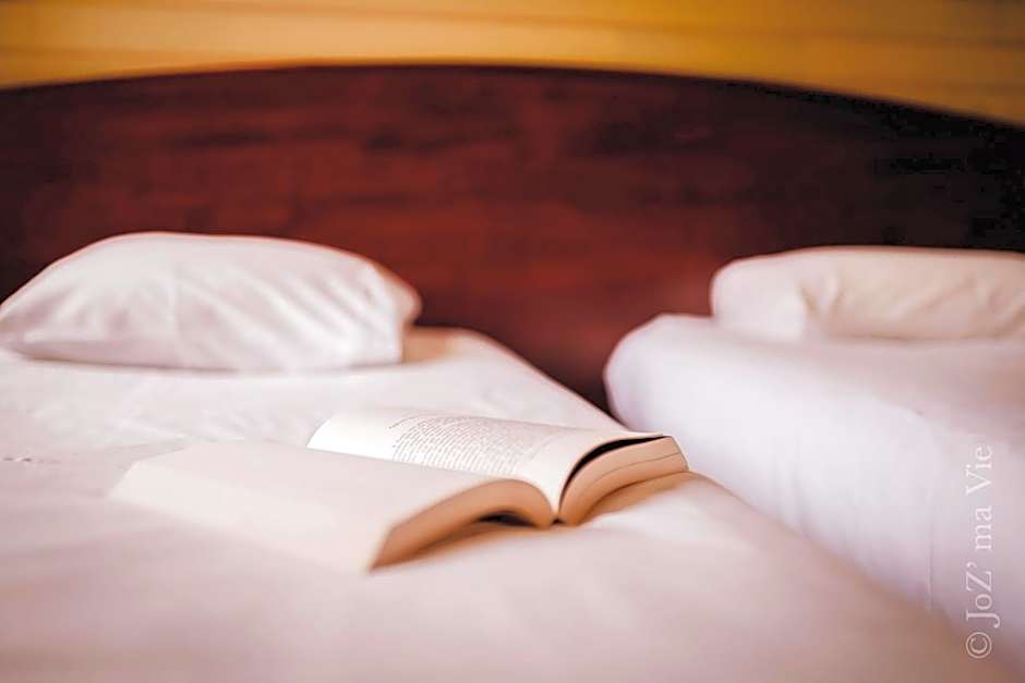 Grand Hotel De La Poste - Lyon Sud - Vienne