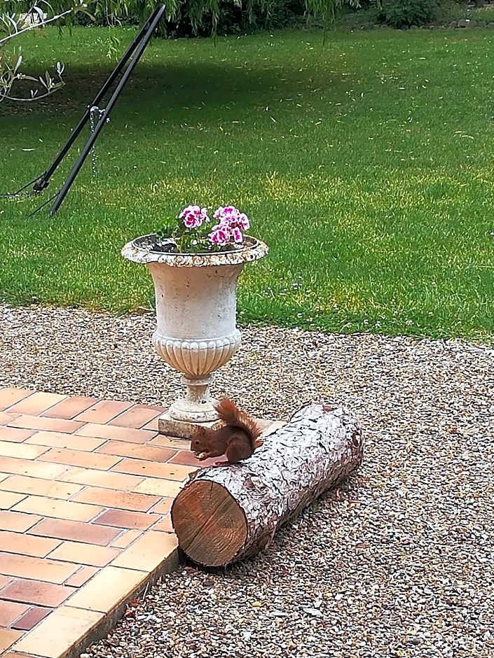 Maison Angulus Ridet