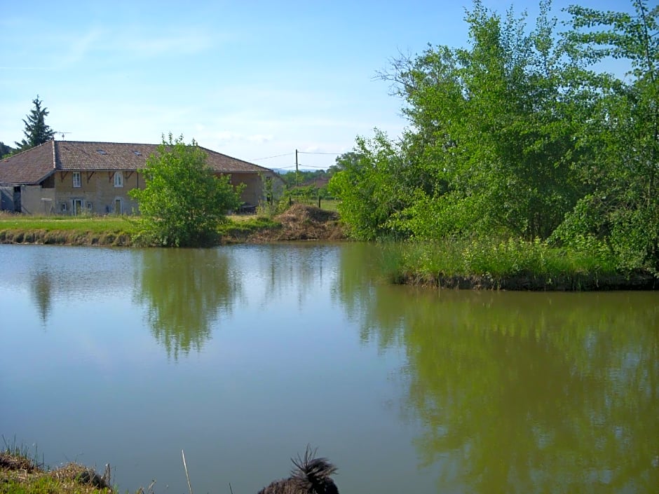 Gîtes Domaine de la Rochère