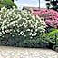 Bed & Breakfast L'Albero Maestro