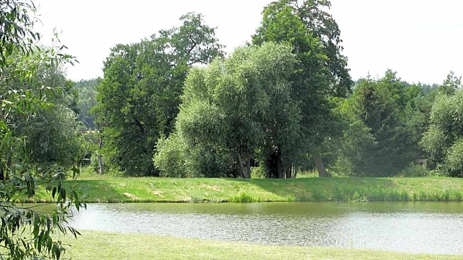 Tawerna-Stawiska