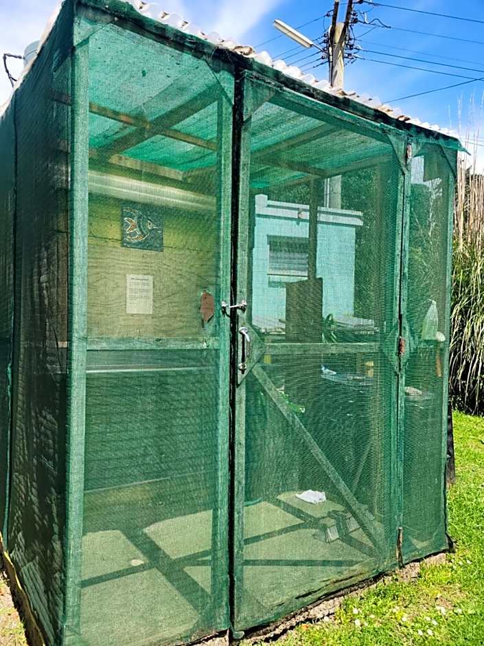 Dickson Holiday Park