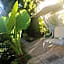 Hotel Desiderio