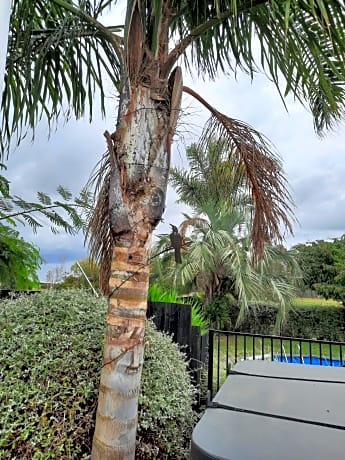 Tui Glade Bed and Breakfast