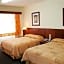 Hotel Marcella Clase Ejecutiva