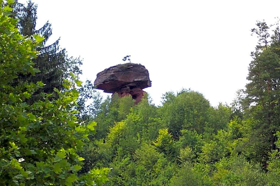 Waldhotel Felsentor