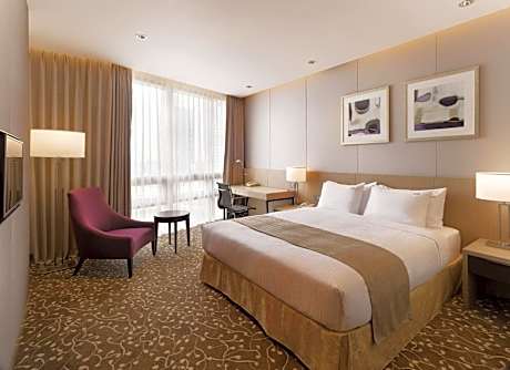 Standard King Room with City View