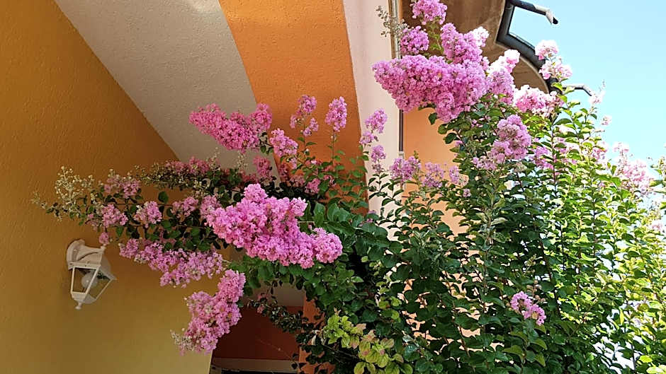 B&B Villa Giulia