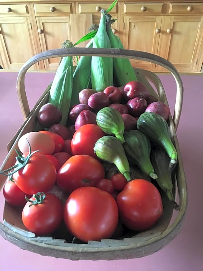 Hereweka Garden Retreat