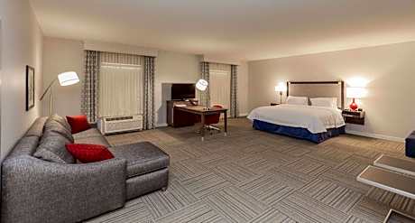 1 King Microwv/Fridge/Wet Bar Studio Suite Ns