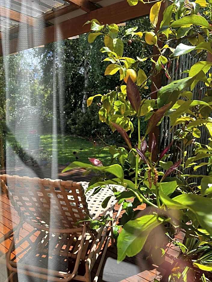 Green Gables B&B Waterfront Apartment or Garden Studio