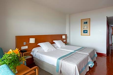 Basic Double Room (3 Adults)