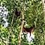 Asim Paris Guesthouse & jungle trekking