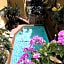 Hollywood Downtowner Inn