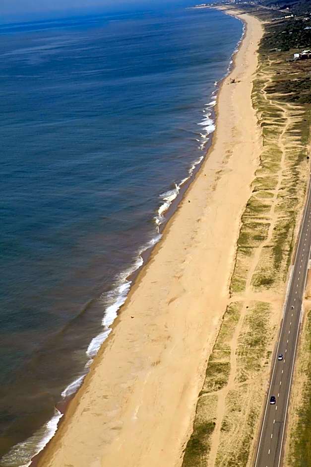 La Viuda de José Ignacio