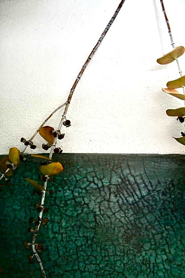 Tal Vez Boutique Hotel