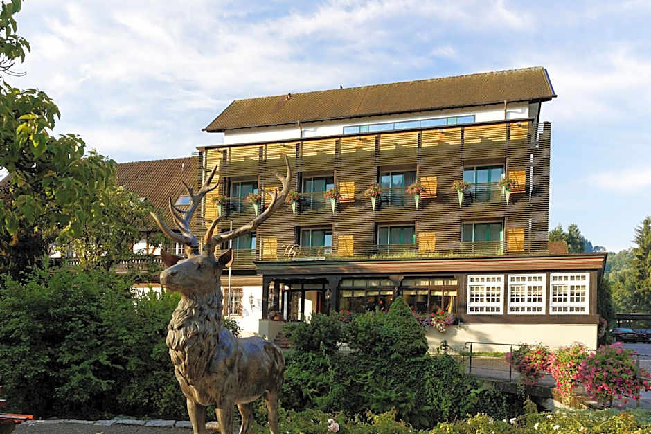 Hotel Hirschen
