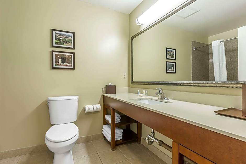 Comfort Inn Pomona Near Fairplex