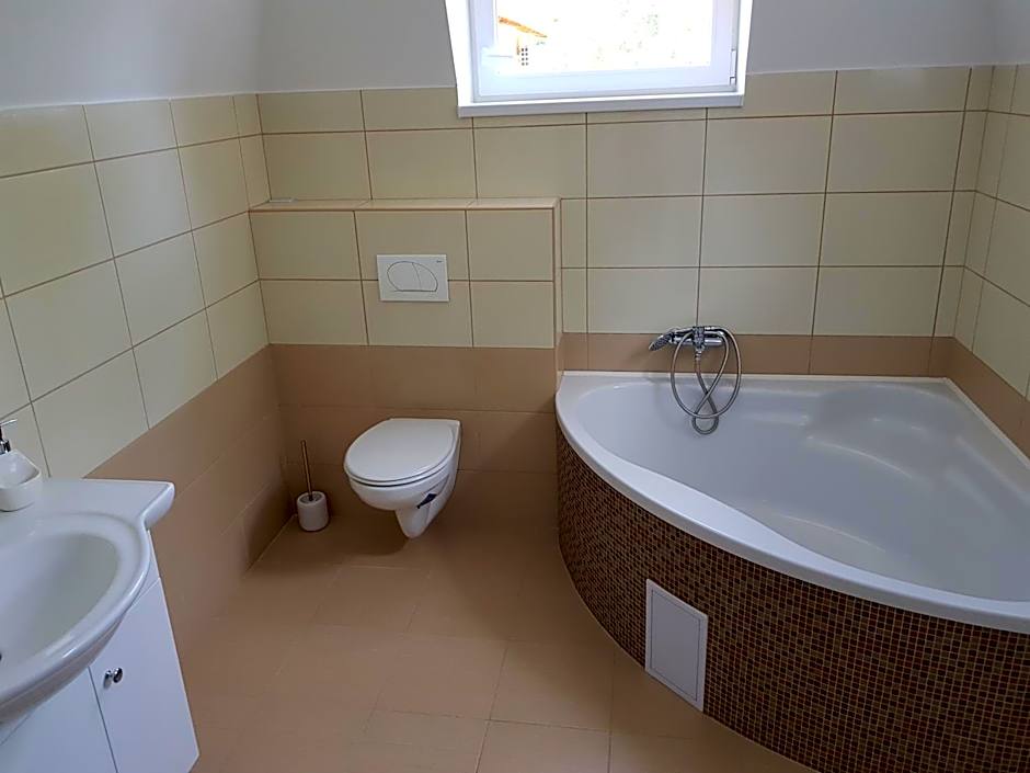 Stég Stúdió Stb. .