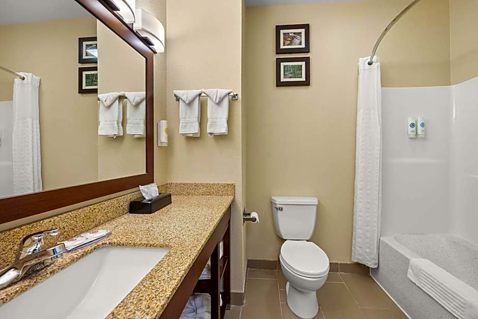 Comfort Inn Willow Springs
