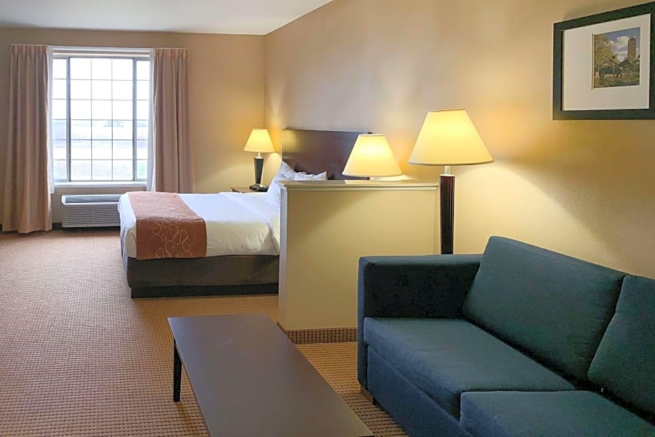 Comfort Suites Roanoke - Fort Worth North